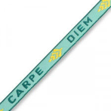 Ribbon text "Carpe diem" Turquoise-green